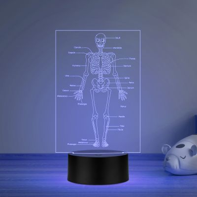 Skeleton of Human Body with Names 7 Color Changing Light with Remote Control